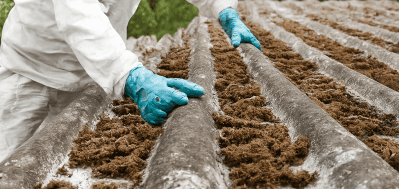 Licensed asbestos disposal team handling hazardous materials safely in Bunbury, Western Australia